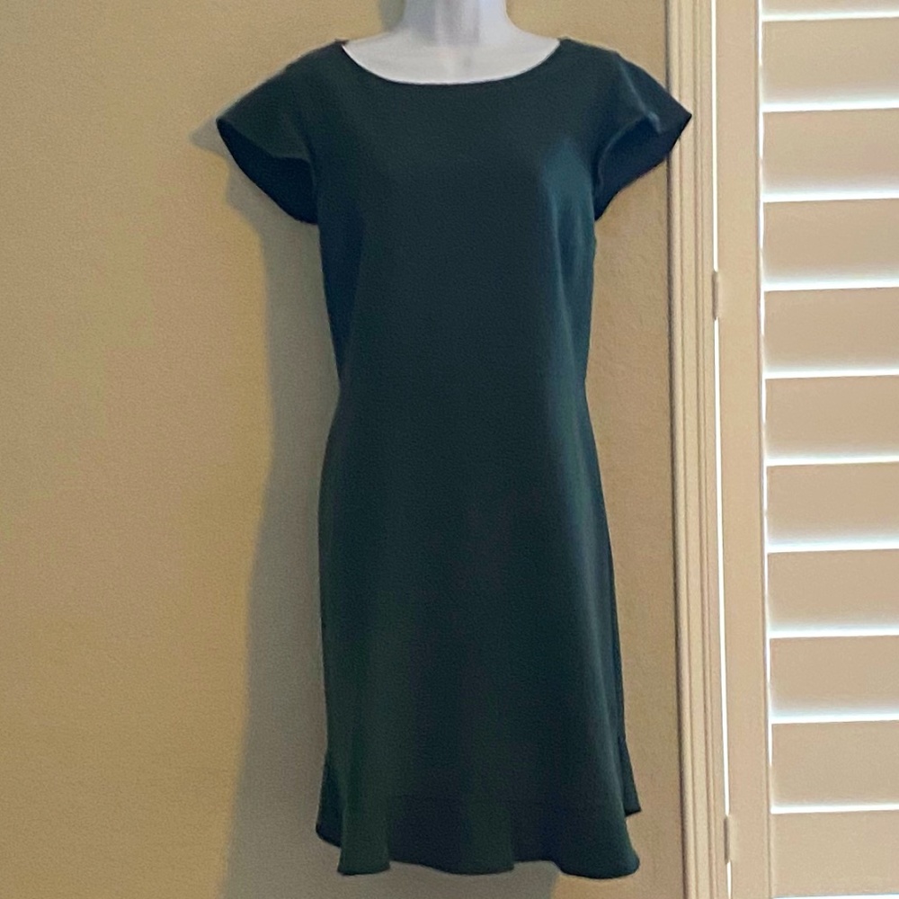 Loft dress with defined waist and beautiful hem and sleeves